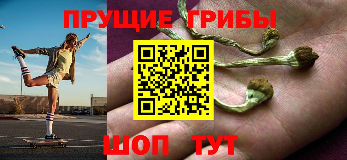 Сарапул  Галлюциногенные грибы Psilocybine cubensis  Вход с VPN 